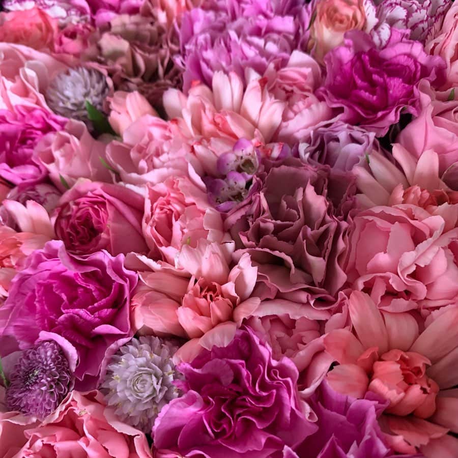 吉田美紀さんのインスタグラム写真 - (吉田美紀Instagram)「・ ・ 💗pink×pink×pink💗 ピンクの濃淡がとっても綺麗… ・ 明日明後日は極寒らしいけれど 街のウィンドーも少しずつ春に˚⁎⁺˳✧༚ ・ こんな色合わせでコーディネートもしたいな♡ ・ ・  #flower #flowers #flowerbox #nicolaibergmann #pink #february #お花 #フラワーボックス #ニコライバーグマン#ピンク#お花のある暮らし」2月5日 12時24分 - miki__yoshida