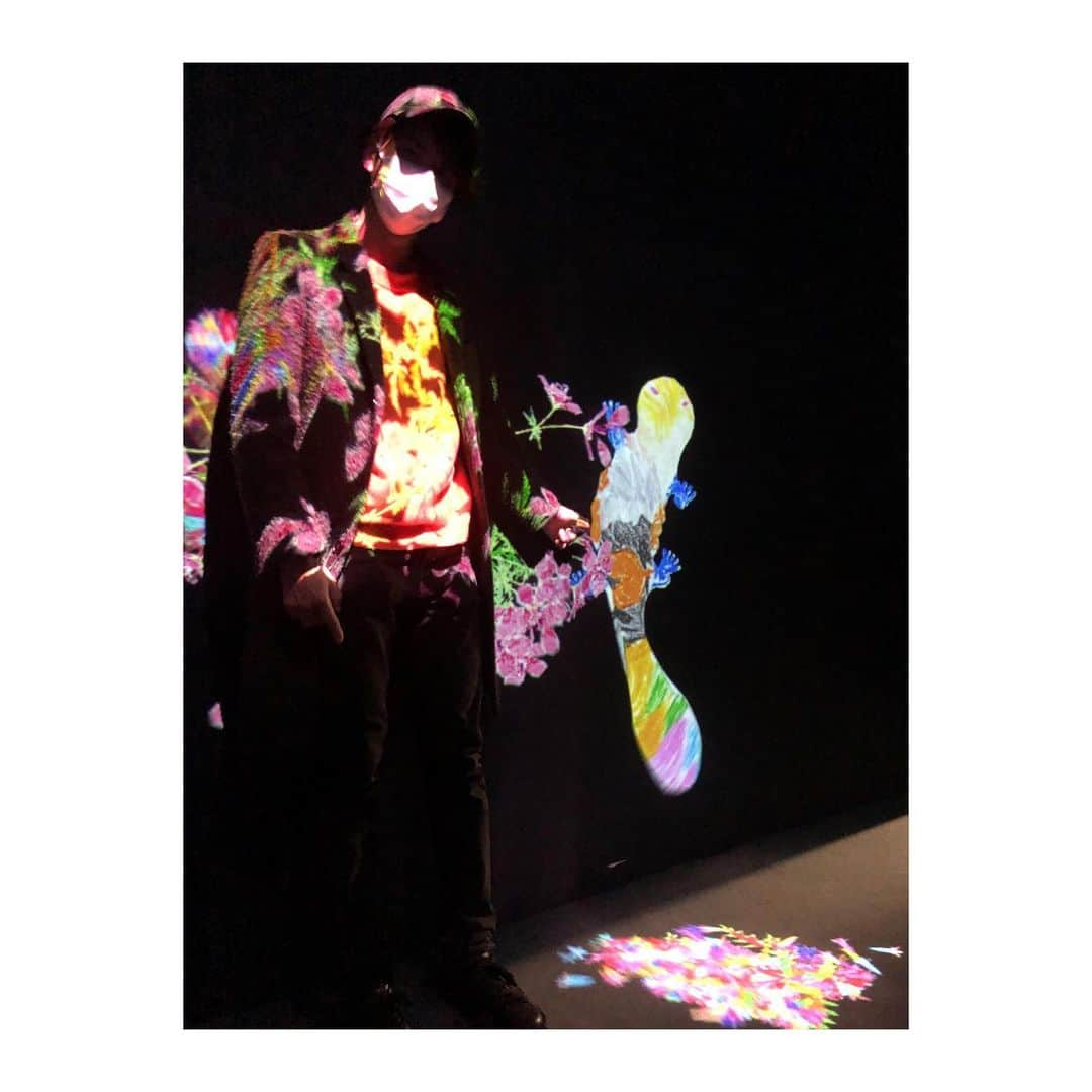 幸太さんのインスタグラム写真 - (幸太Instagram)「@teamlab  borderless ﻿ ﻿ ﻿ 今更ながら、体験して来ました﻿ ﻿ #チームラボボーダレス ﻿ ﻿ ﻿ やっぱり生で体験すると﻿ 凄い世界観ですねー‼️﻿ ﻿ ﻿ なんか迷子になりながら（笑）でしたが、﻿ 同じ場所でも時間で景色が変わっていくし﻿ 飽きずに居られる楽しい場所でしたー﻿ ﻿ ﻿ ﻿ 俺もサンショウウオやイカを塗り絵したけど、﻿ 子供には更に楽しい場所だと思うよ👏👏👏﻿ ﻿ ﻿ ﻿ なかなか撮影以外で、﻿ お台場にも行く事が無かったから﻿ 新鮮で楽しい時間でしたー😊﻿ ﻿ ﻿ #teamlab #teamlabborderless #odaiba #graphicart #art #fashion #model #kota﻿ #チームラボ #チームラボお台場 ﻿ #アート #モデル #俳優 #サーファー #ヘアサロンオーナー #カフェオーナー #波のない #休日の過ごし方」2月5日 12時35分 - kotawave