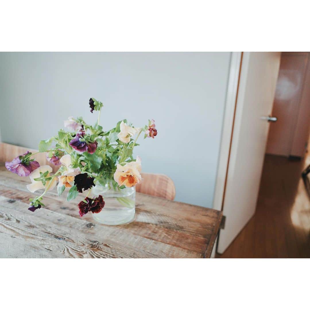 高山都さんのインスタグラム写真 - (高山都Instagram)「ウチにパンジーたくさん。 @the.daffodils.flowershop  クネクネいかして、ラフに束ねて生けた。 お誕生日のブーケ買いに行って、自分へも。」2月5日 13時10分 - miyare38