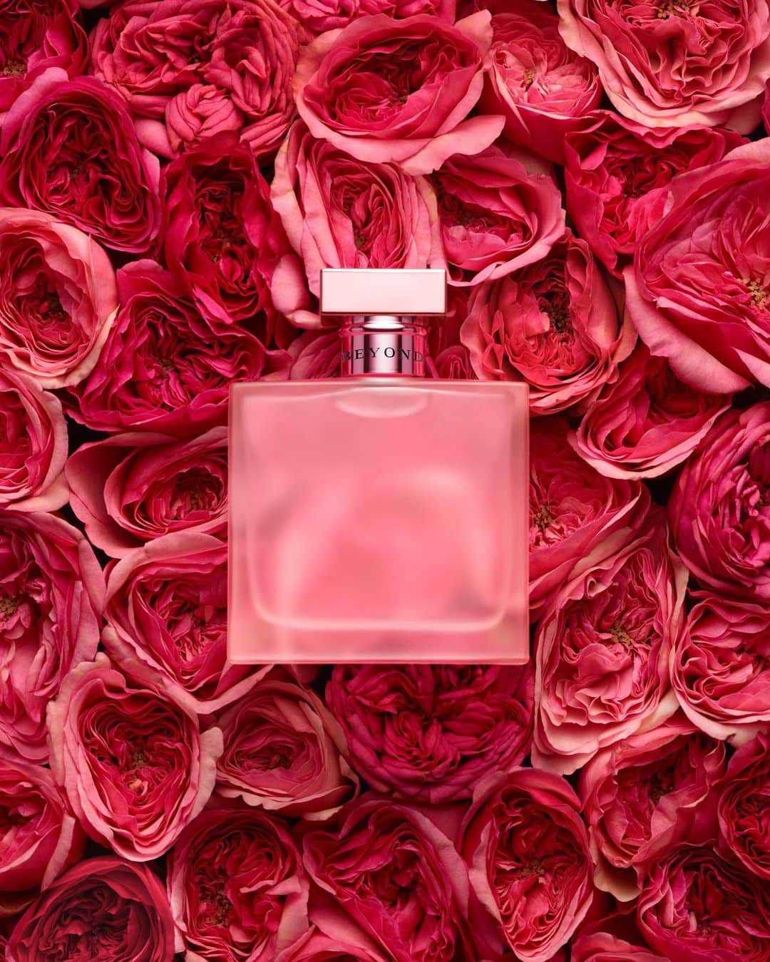 Polo Ralph Laurenさんのインスタグラム写真 - (Polo Ralph LaurenInstagram)「Share the love with #RLGifts.  Featuring Beyond Romance eau de parfum from the #RalphLaurenRomance collection of fragrances.  Discover more via link in bio.  #PoloRalphLauren」2月5日 8時04分 - poloralphlauren