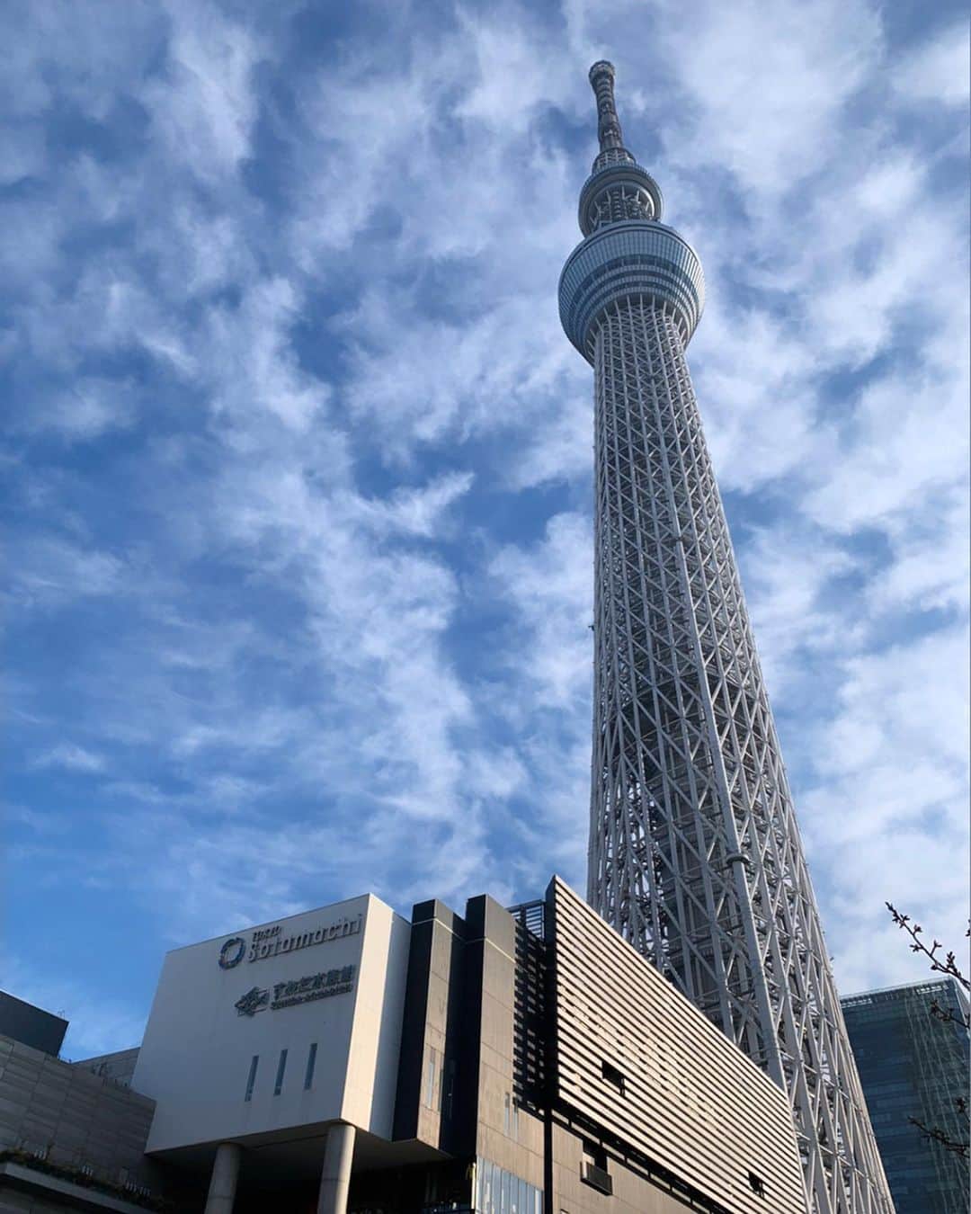 大杉亜依里さんのインスタグラム写真 - (大杉亜依里Instagram)「✴︎ #東京観光ラン﻿ #みりょく発見！ #墨田区﻿ #スカイツリー﻿ ﻿ 高さが634mなのは、昔の関東一帯の呼び名「武蔵むさし」から来ているそうです☝️﻿ ﻿ 私は、雨の日や曇りの日にスカイツリーの先が隠れて摩天楼みたいに見える時が好きです😁﻿ ﻿ #Onrunning﻿ #Cloudflow﻿ #eyevol_run ﻿ #suunto5﻿ ﻿ #TokyoIsOn﻿ #running﻿ #ランニング﻿ #runlife﻿ #42195﻿ #runningtime﻿ #enjoyrunning﻿ #ランニング女子﻿ #ママランナー﻿ #igランナーズ﻿ #ハシリマスタグラム﻿ #ランニング好きな人と繋がりたい﻿ #onfriends」2月5日 9時08分 - osugiairi_official
