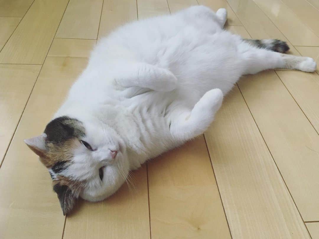 ありす & まりあのインスタグラム：「Good morning ❣️ はりきっていこう。」