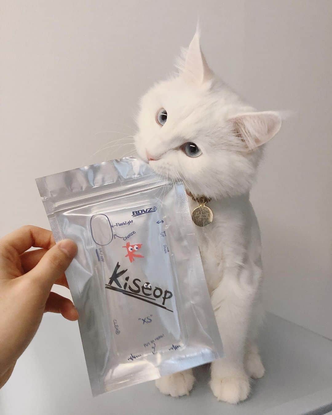 キソプのインスタグラム