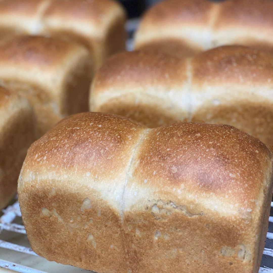 魔女菅原のグルメインスタ