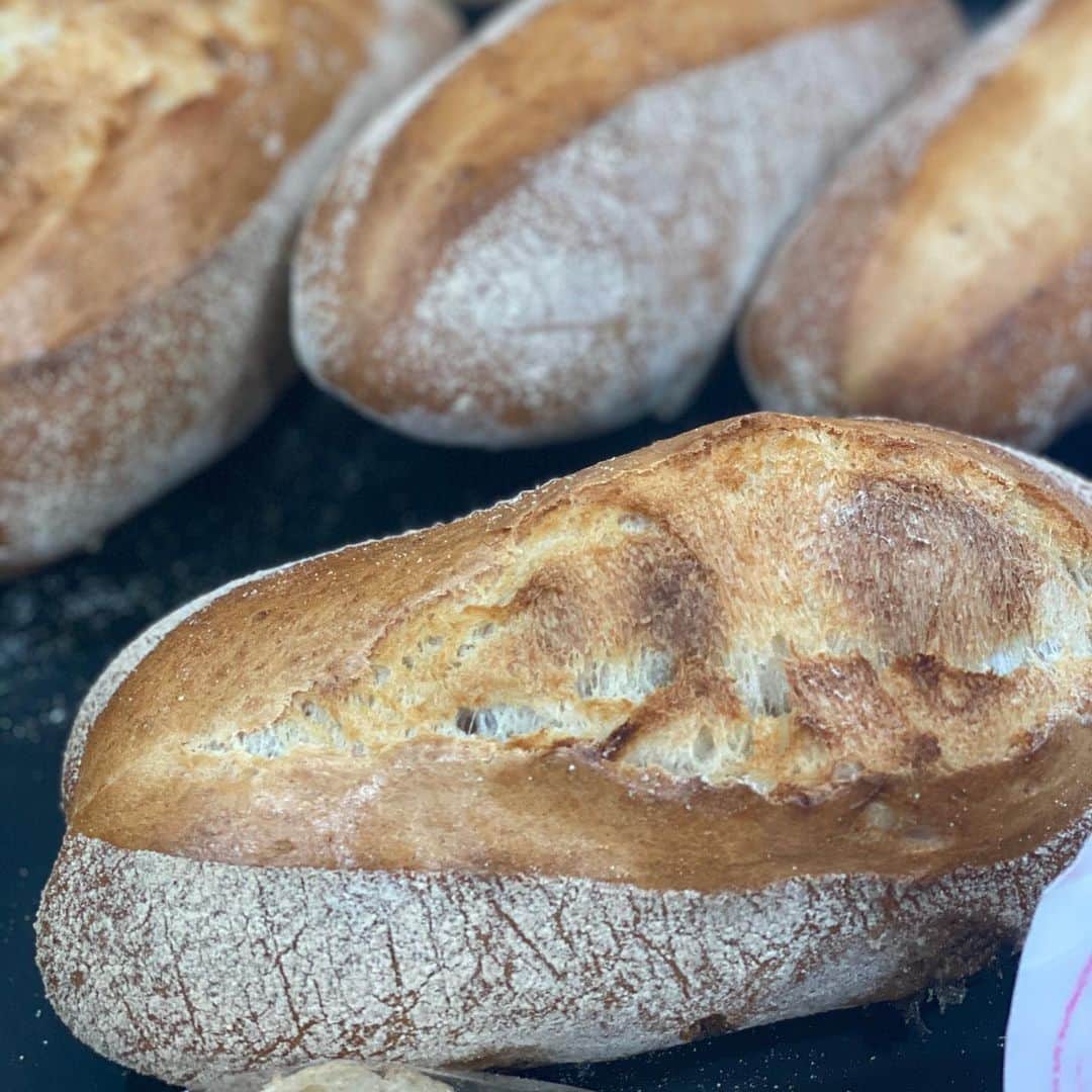 魔女菅原さんのインスタグラム写真 - (魔女菅原Instagram)「#パーネトスカーノ  塩分の少ないイタリア・トスカナ地方の伝統的なパンです。 小麦粉のうまみと甘みが引き立ちます。  #ハード系パン #パーネトスカーノ #イタリアのパン #発酵種法 #自家製天然酵母のパン屋さんカンパーニュ #魔女菅原」2月5日 11時40分 - hatsuyosugawara