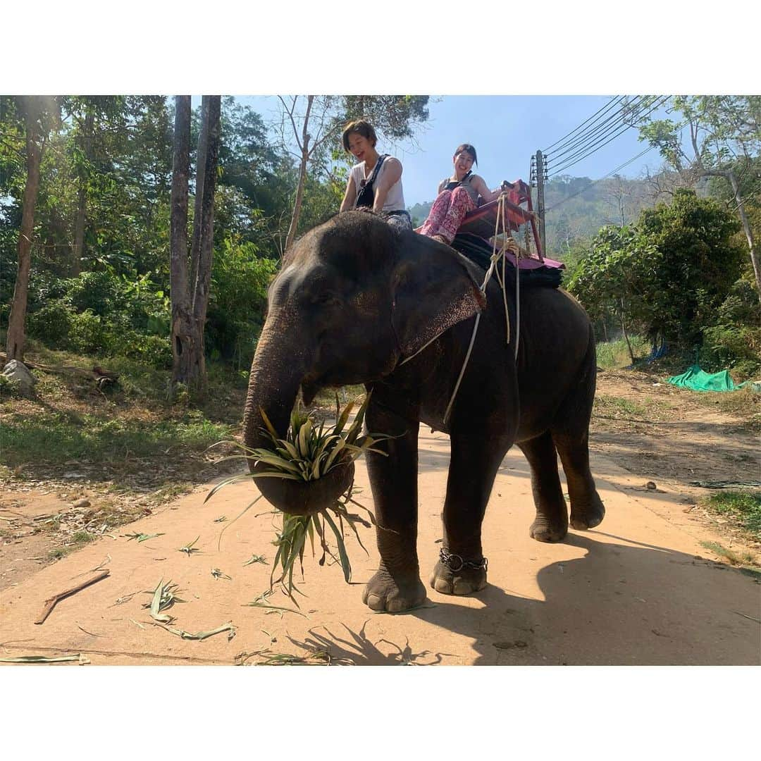 浅倉カンナさんのインスタグラム写真 - (浅倉カンナInstagram)「🐘🇹🇭 #タイ #プーケット  #スカイチケット #skyticket @skyticket.jp」2月5日 11時40分 - a_kanna_