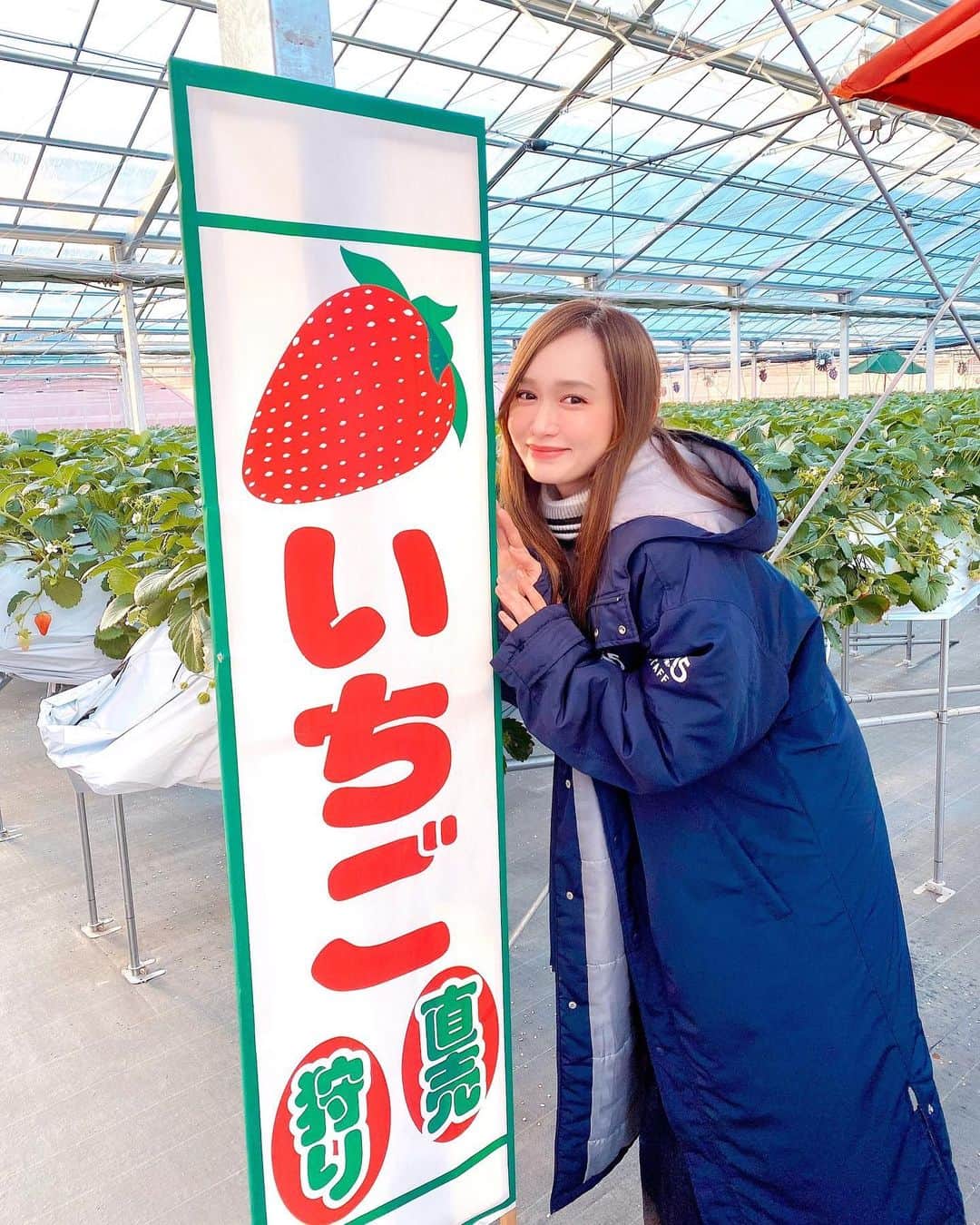 伊藤千凪海のインスタグラム：「先日 埼玉県毛呂山町のいちご農園に﻿ 取材に行ってきました🍓﻿ ﻿ 初めてだっだけどとっても綺麗でびっくり🙄﻿」