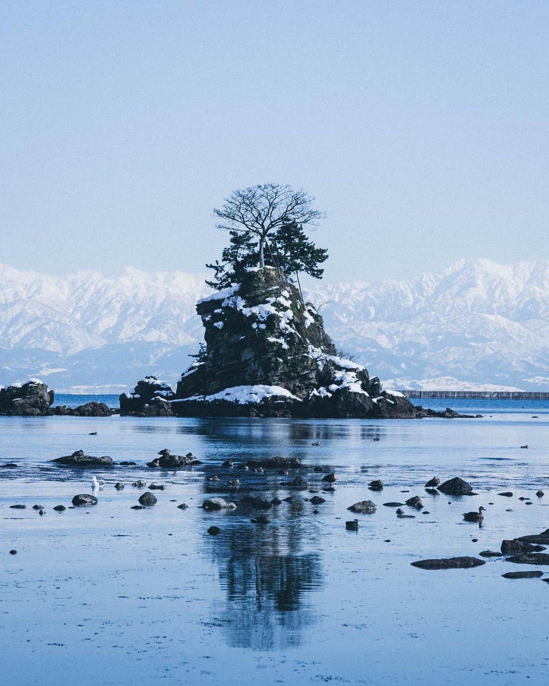 Yuma Yamashitaのインスタグラム：「Everything things Wabisabi in Japan  #inspirationcultmag #bonsai」