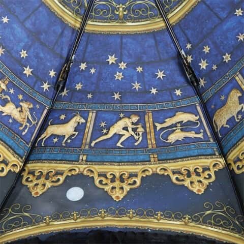 ヴィレッジヴァンガードオンラインストアさんのインスタグラム写真 - (ヴィレッジヴァンガードオンラインストアInstagram)「【Lumiebre】黄道十二星座  ヴェネツィアのサン・マルコ広場にある黄道十二星座の天文時計をモチーフにしたクラシカルなアンブレラ。  内側から見上げるとまるで星座の中心にいるような気分が味わえます。  外側は小ぶりなフリルで普段でも使いやすい仕様に。  オリジナルの杖型手元は閉じて持っていても、高貴な印象を与えてくれます。  #傘 #アンブレラ #日傘 #晴雨兼用 #おしゃれ傘 #ゴシック #ステキ #ルミエーブル #lumiebre」2月5日 14時03分 - village_vanguard