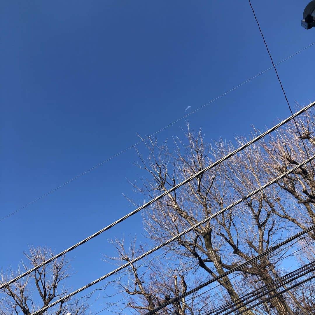 濱田マサルさんのインスタグラム写真 - (濱田マサルInstagram)「春の陽気」2月5日 14時06分 - hamadamasaru