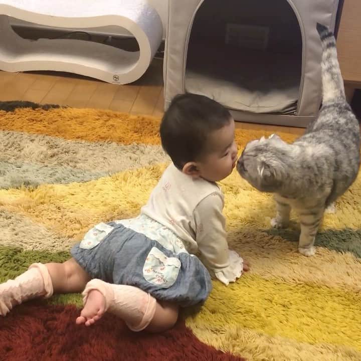 Chiyomame ちよまめのインスタグラム