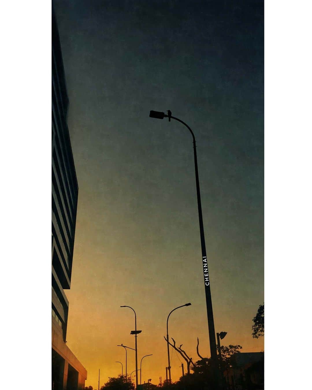Nikonのインスタグラム：「One random stroll led me to this beautiful site & I'm glad i took the chance because I always believe that nature tries to talk with us & at this particular moment the crow is giving me the peace of mind i needed #shotononeplus #taramani #chennai #chennaiponnu #chennaidiaries」
