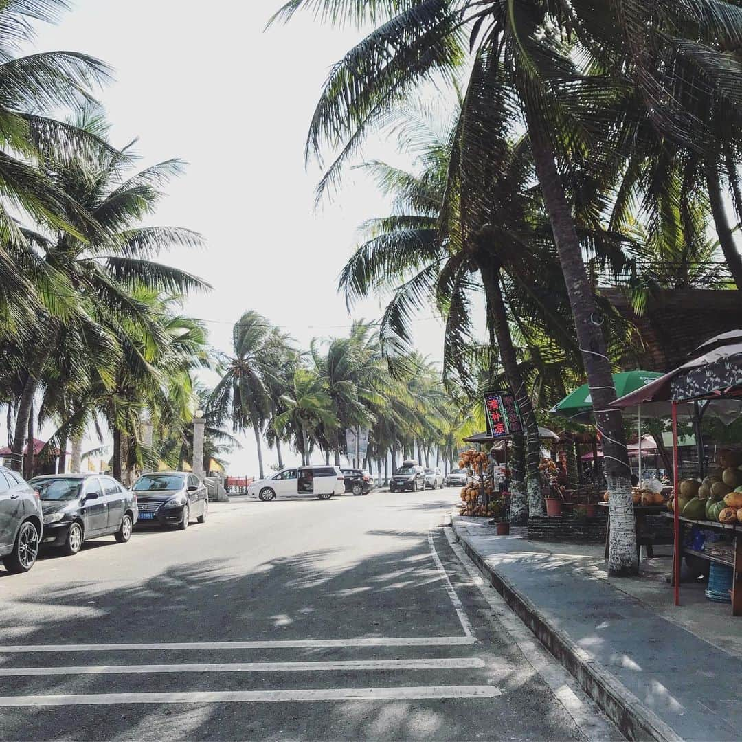 大村 奈央さんのインスタグラム写真 - (大村 奈央Instagram)「1月の中国🇨🇳 Hainan-China🌴 #china #hainan #中国 #海南島 #worldtraveler #travel #旅 #世界のいろんなこと」2月5日 19時53分 - naoomura