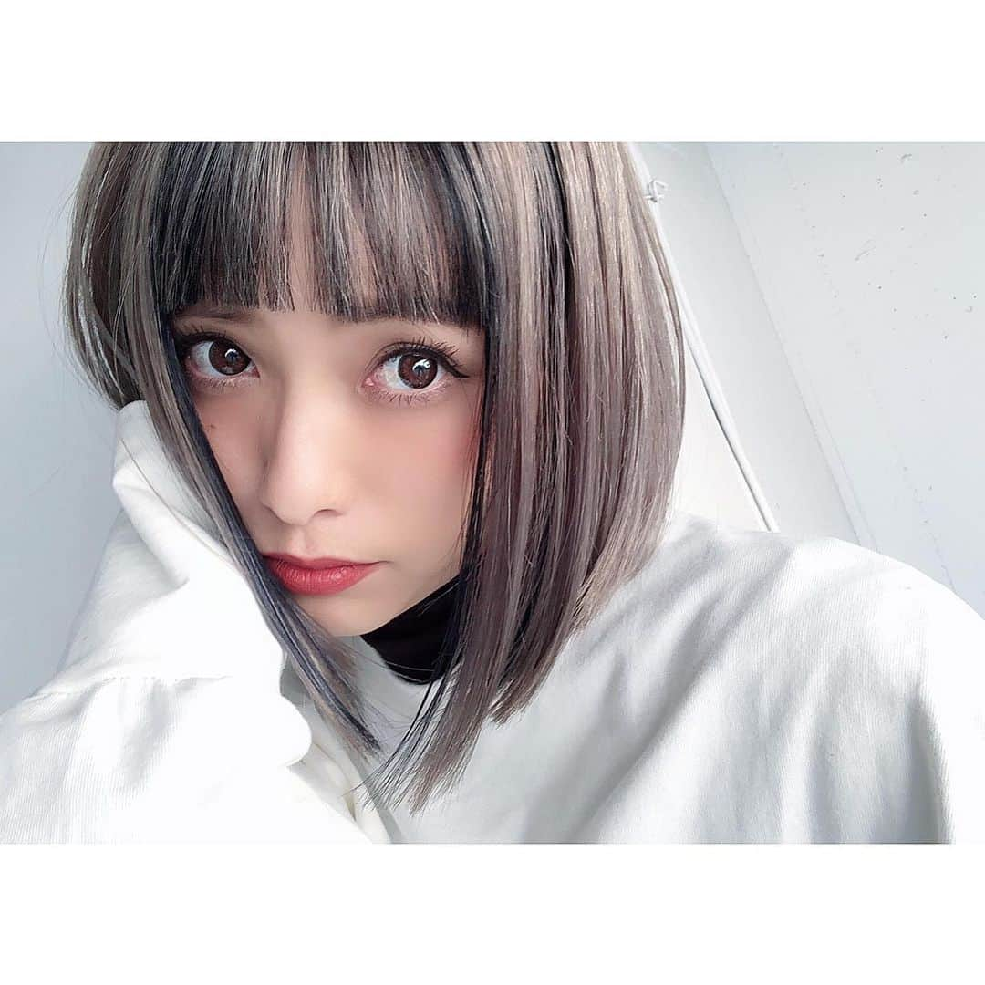 小泉梓さんのインスタグラム写真 - (小泉梓Instagram)「載せ忘れてた。  NEWヘア。  11日にまたヘアショーがあるから、長さは切らずにカラーと前髪整えてもらったよ。  前髪と顔まわりにローライトを入れてもらってるんだけど、だいぶ馴染んできてたから今回は新しく入れ直したんだ。  みんなが同じ髪にしましたってDMくれたり、美容室に見せてくれたりの情報がとても嬉しいよ、ありがとう。  詳しい内容は、 @nobuhair に聞いてみてね。  そしてストーリー見てくれてる方はわかってるかもですが、かなり久々にインフルエンザＡ型に感染し、40度を超える熱でかなり辛かった…。ワクチン打っているのに軽くなる説は人によるらしい。もう来年からはワクチンしなくていいかな、高いし。 発熱から3日後、ようやく熱も下がってきました。 DMくれたみんなありがとう。  また、お仕事でもご迷惑をかけてしまい申し訳ありませんでした。  みんなもコロナウイルスの前にインフルエンザも同じく気をつけてね。  #newhair #hair #haircolor #hairstyle #bobhaircut #ヘアカラー #ヘアスタイル #アッシュ #ローライト #前髪カット #バング #inoaカラー #ラウンド前髪 #ボブ #loreal  #kerastase」2月5日 20時03分 - azusan111