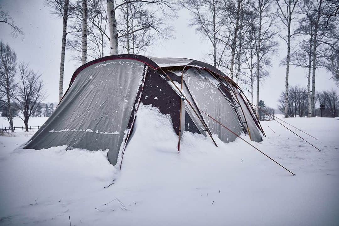 Coleman Japanのインスタグラム：「「マスターシリーズ」は厳冬の氷点下❄️でも安心。 ・ テントをフルクローズすれば、遮熱性の高い生地が保温効果を発揮し、フライシートのスカートが冷気🌬️ をシャットアウト✋ ・ ・ ・ #灯そうColeman #灯そうコールマン #灯そう #Coleman #コールマン #Tent #テント #コールマンテント #Camp #キャンプ #Outdoor #アウトドア #ウェザーマスター #マスターシリーズ #秋冬キャンプ #冬キャンプ #雪中キャンプ」