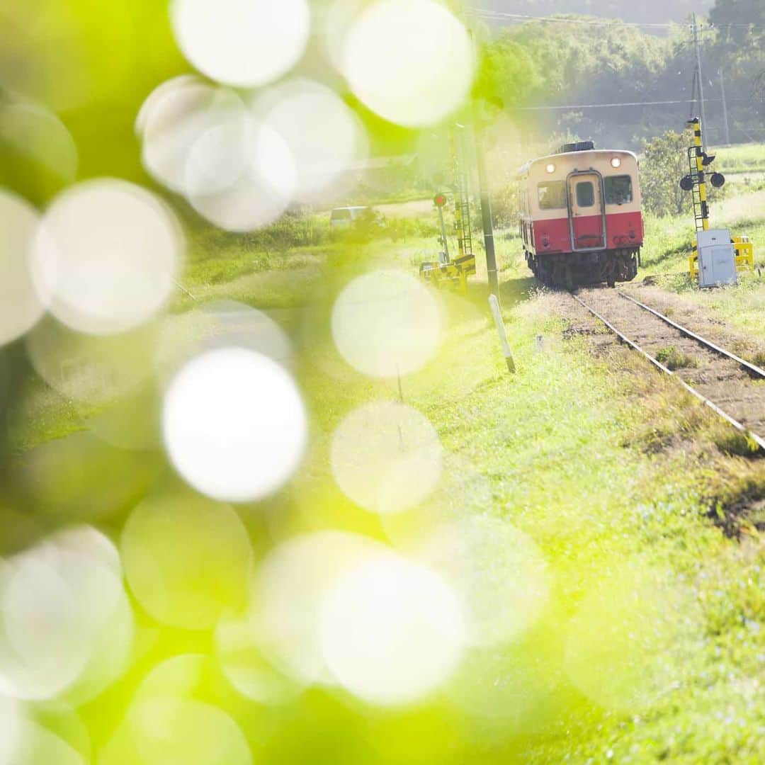 ライカさんのインスタグラム写真 - (ライカInstagram)「For Seiya Nakai, trains are much more than just a means of transport. Rather, they reflect the sentiments of the countless travellers who use them every day. Learn more about one of Japan's best known railway photographers and his experience with our #LeicaSL2 (link in bio). #Leica #LeicaCamera #🔴📷 #itsyourchoice #trains #trainspotting #railway #trainphotography #trains_worldwide」2月6日 0時08分 - leica_camera