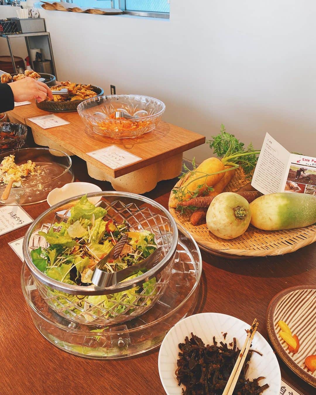 吉田沙世さんのインスタグラム写真 - (吉田沙世Instagram)「本日のランチ🍽 @d_d_tokyo  無農薬・無化学肥料の 野菜たちを使ったお料理。 ブュッフェ形式で食べられるので 食物繊維たっぷり摂れて 健康にいい✨  今月のテーマは「土と根」 でした。美味しかった🙏✨ #dたべる研究所 #和食 #japanesefood」2月6日 16時01分 - sayobaby