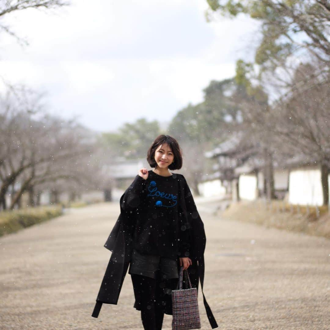 木本泉さんのインスタグラム写真 - (木本泉Instagram)「-﻿ 京都は雪☃️﻿ ﻿ #京都#雪#冬」2月6日 16時52分 - izumikimoto