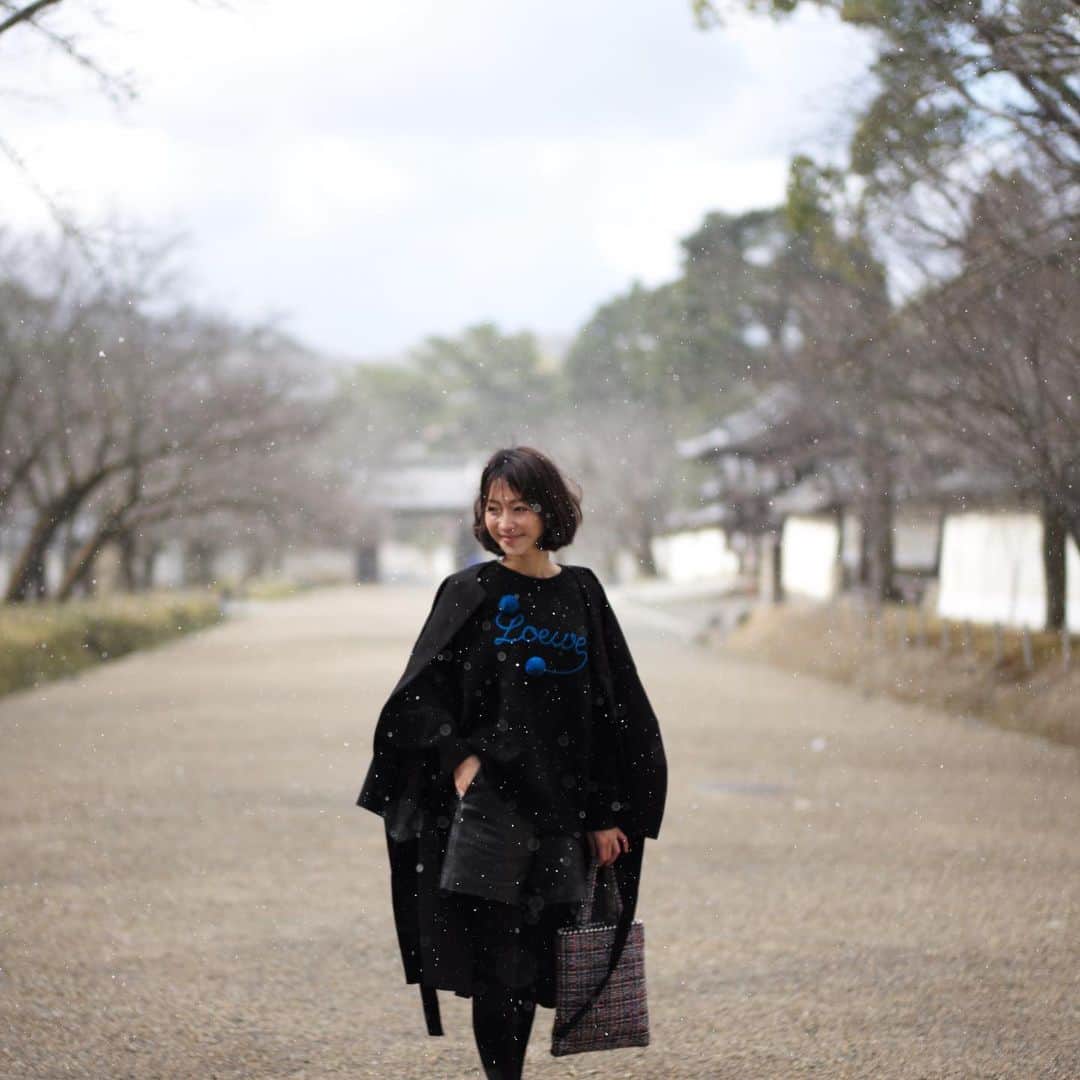 木本泉のグルメインスタ