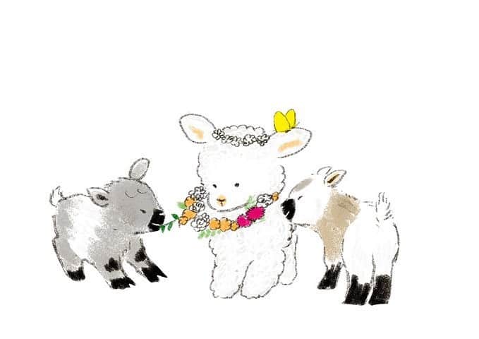 momoroさんのインスタグラム写真 - (momoroInstagram)「やーめて #羊#sheep#illustration #momoro#ヒツジ#ヤギ#イラスト#ももろ」2月6日 8時24分 - momoro6666