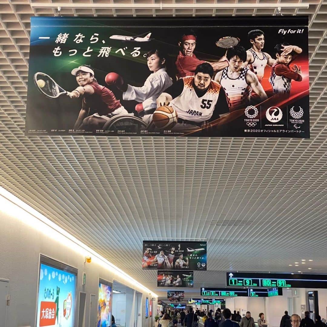 植草歩さんのインスタグラム写真 - (植草歩Instagram)「羽田空港で見つけたら 教えてね ❥︎:❥︎🔫 #JAL」2月6日 9時30分 - ayayumin0725