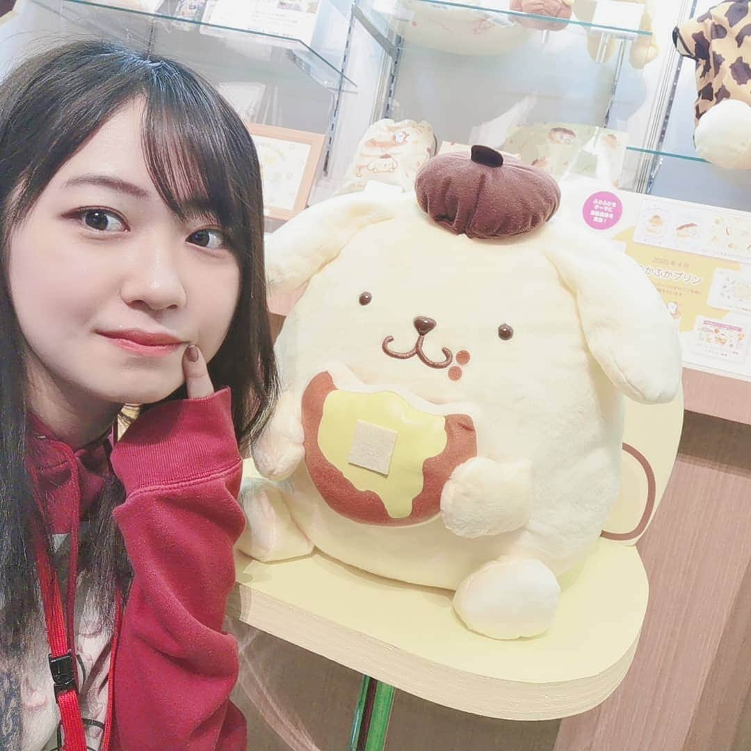 野中美希さんのインスタグラム写真 - (野中美希Instagram)「推しメンとたわむれる人(照) #サンリオ #ポムポムプリン #こぎみゅん」2月6日 10時52分 - miki_nonaka.official