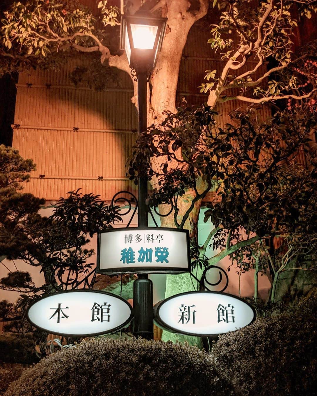 yeNahさんのインスタグラム写真 - (yeNahInstagram)「おはようございます🤍﻿ ﻿ 福岡一泊目の晩ご飯🍱🤤﻿ 雰囲気も良くてどれも美味しくて日本酒が進むすすむ🍶﻿ 海鮮大好きなママにも食べさせたいーー🤢﻿‼︎ 座敷もあって子連れOK🙆🏻‍♀会長は泳いでるお魚さん達をみて喜んでた💘﻿ ﻿ ﻿ ﻿ 🧚🏼‍♀️edited with @haneypresets #haneypresets﻿」2月6日 11時08分 - haney8859
