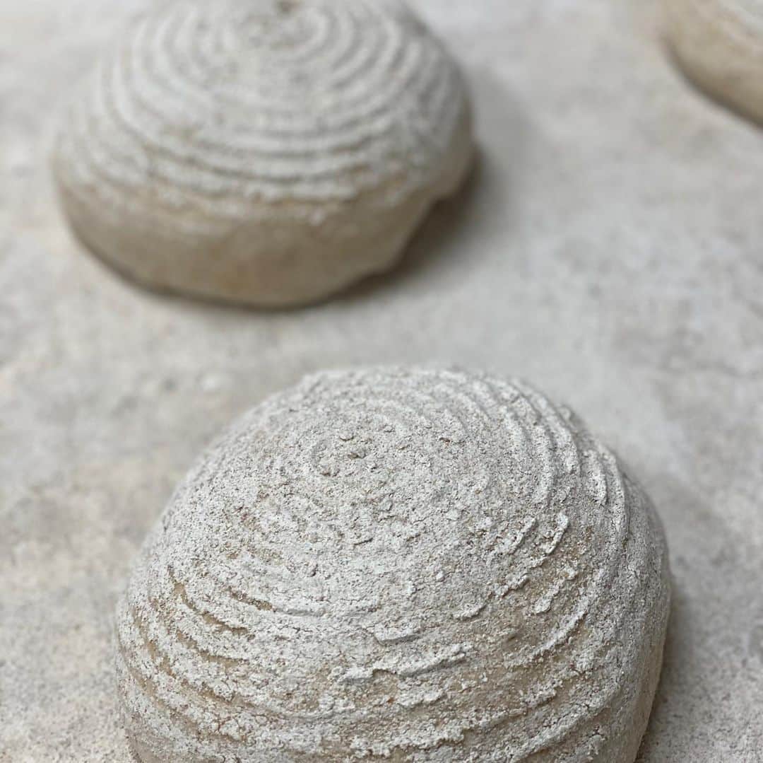 魔女菅原のグルメインスタ