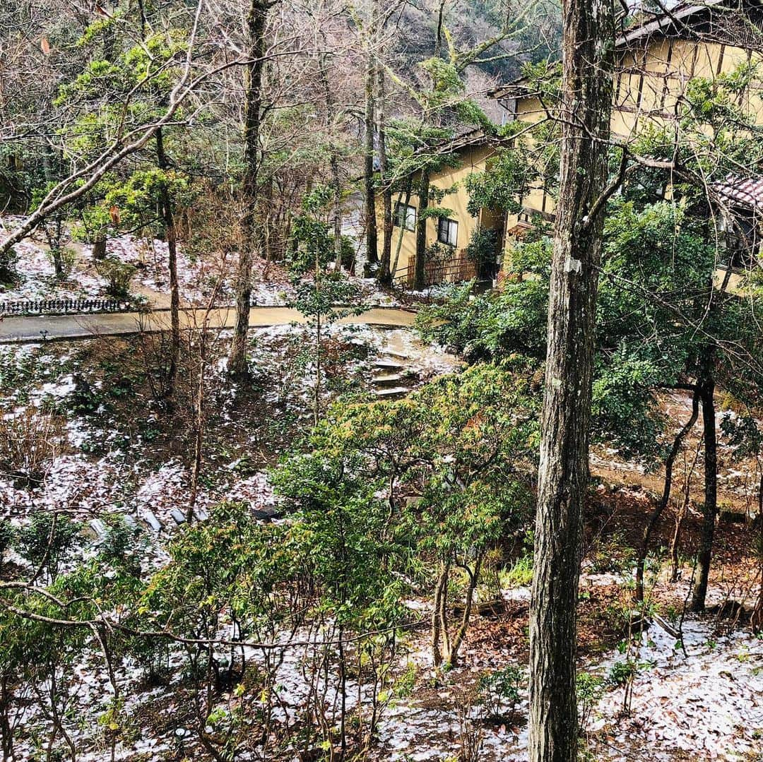 有福温泉 旅館ぬしやさんのインスタグラム写真 - (有福温泉 旅館ぬしやInstagram)「久々に、うっすらと雪化粧でございます❄️ #ぬしや #有福温泉 #温泉旅館 #雪 #島根旅行 #島根県」2月6日 17時26分 - nushiya_arifukuonsen