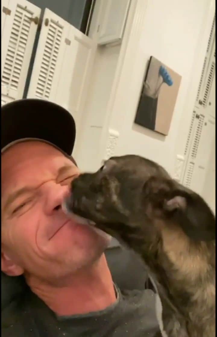 のインスタグラム：「Cuties! 🥰 #neilpatrickharris #nph #tagsforlikes #actor #lovehim #handsome #myedit #igstories #spike #kisses #awesome #legendary @nph 💙💙」