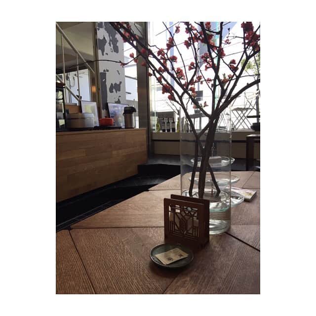 勝恵子さんのインスタグラム写真 - (勝恵子Instagram)「隠れ家ブランチ #青山 #otsukafarmcafe&kitchen #aoyama」2月6日 13時55分 - keiko.katsu