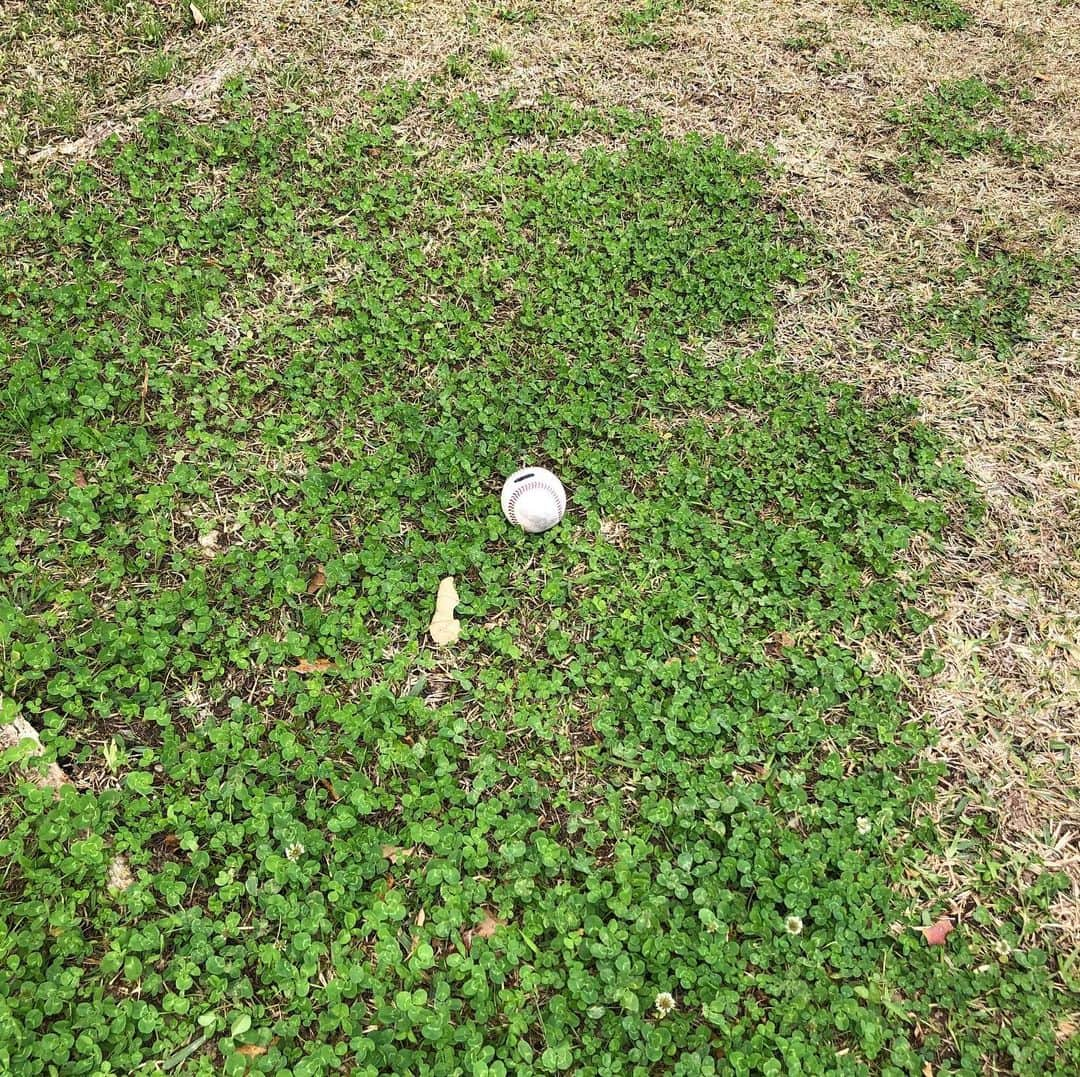 世永聖奈さんのインスタグラム写真 - (世永聖奈Instagram)「⚾️﻿ ﻿ 名護からハイサーイ！﻿ ﻿ 日中の最高気温は18度！﻿ 日差しが強かったので﻿ 日焼け止めを大量に塗りました🐼真っ白です。﻿ ﻿ きょうは﻿ 中田翔選手の場外弾をカメラに収めるため、﻿ ファンのみなさんと一緒にその瞬間を待っていました。 ドッキドキでした〜。﻿ 今回は場外弾が2本！もう少しで海！ものすごいパワー！ ﻿ おとといの国頭では﻿ 清宮選手の場外弾も追いかけてきました！﻿ 2枚目の写真に映っているのがその時のボールです⚾️﻿ （ボールはお返ししています）﻿ ﻿ 土曜日は1・2軍合同の紅白戦、﻿ 日曜日からは練習試合です。﻿ 開幕に向けて、羽撃いていきましょーう！﻿ ﻿ 私は明日が沖縄取材ラストです😭﻿ ﻿ #北海道日本ハムファイターズ﻿ #ファイターズ #lovefighters #羽撃く﻿ #中田翔 選手 #清宮幸太郎 選手 #場外弾﻿ ﻿ #HBC #北海道放送 #今日ドキッ﻿ #ブラボーファイターズ﻿ #bravoファイターズ﻿ #Fドッキュン #お宝映像 #収めました﻿ #今日深夜放送﻿ ﻿ #アナウンサー #世永聖奈 #セナスタグラム﻿ ﻿ もんすけグッズ好評発売中です！﻿ パーカーやタオル、マグネット付きゆび人形、﻿ ぜーんぶかわいいですよ🐵🧡﻿ ﻿ お買い求めの際はインターネット﻿ 【HBC北海道配信ショップ】で！﻿ ﻿ #もんすけ #グッズ #おすすめ﻿」2月6日 18時02分 - hbc_yonagasena