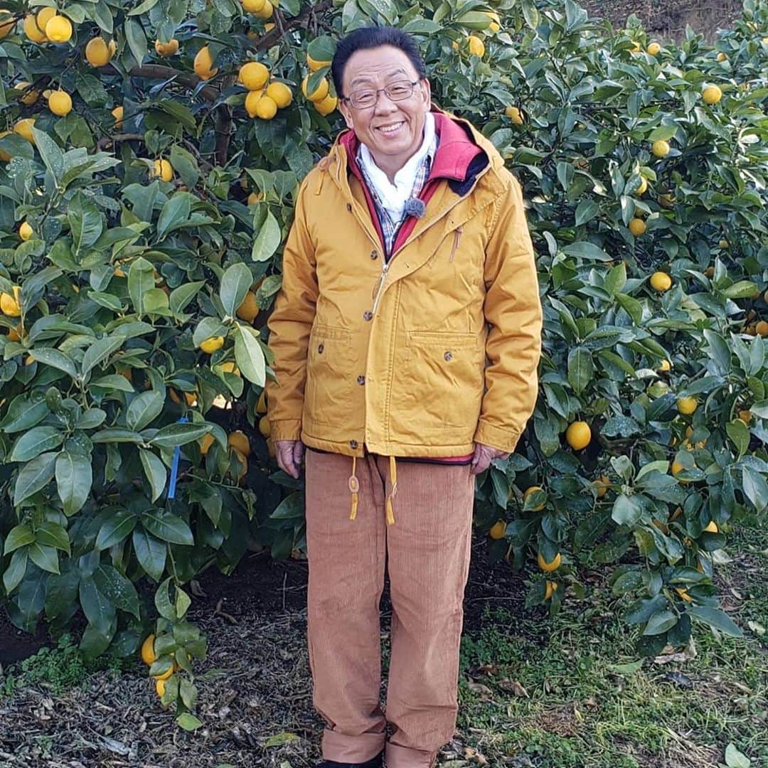 梅沢富美男さんのインスタグラム写真 - (梅沢富美男Instagram)「レモン沢富美男がレモン畑に里帰り！ 2月17日放送の「まんぷく農家メシ」のロケでレモン畑に行ってきましたよ。 今はハート型のレモンも作ってるんだって！かわいいね。」2月6日 18時21分 - tomioumezawa