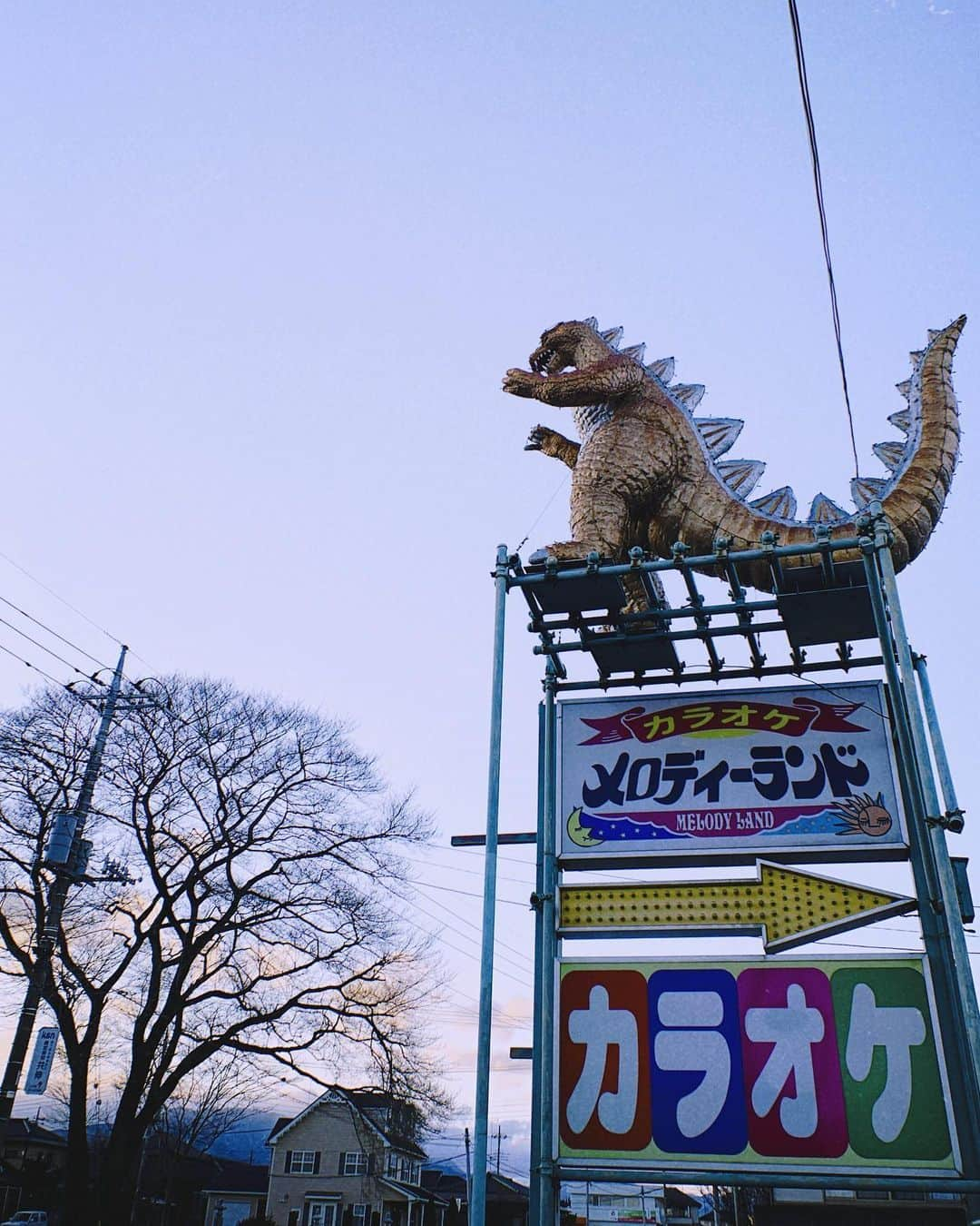 堀田茜さんのインスタグラム写真 - (堀田茜Instagram)「🦕🎵🎤🌲☀️ #メロディーランド #那須塩原 #いいところ #akanecam」2月6日 19時08分 - akanehotta