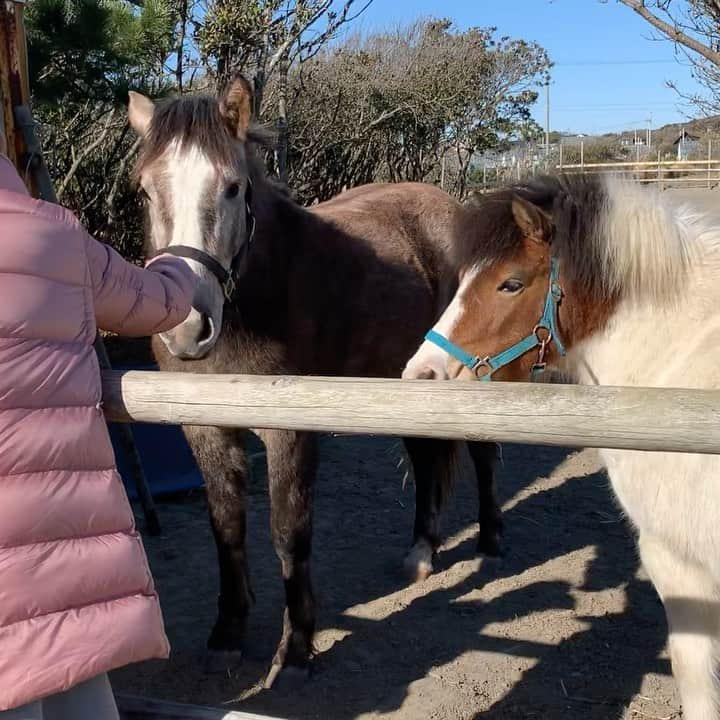 RIKACOのインスタグラム