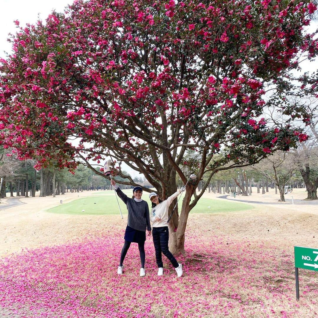 渡辺由香さんのインスタグラム写真 - (渡辺由香Instagram)「プライベートはもっぱらstorysばっかりだから、久しぶりに最近のハマってる事も！ 最近はとゆうと運動欲がハンパなくて、週2は何かしら動いてるのが気持ちいい！ 今年、2ラウンド目のゴルフは旦那ちゃんと共通のお友達な　@onechama と 回ってめちゃ楽しかった〜❤️ 前まではやらないとな感じだったのがレッスンで打てるようになって、楽しくなってきたよ まだまだだけど、みんな是非ゴルフ誘ってね〜⛳️ 寒さを予想してダウンパンツで行ったら すんごいお天気よかった〜 こんなゴルフウェアあればいいのにと妄想中〜 ゴルフウェア作りたいなぁ〜w  #千葉カントリークラブ #映えスポット #ゴルフ女子 #ゴルフコーデ #newbalance #callaway #pearlygates」2月6日 19時41分 - yukawatanabe_hanabo