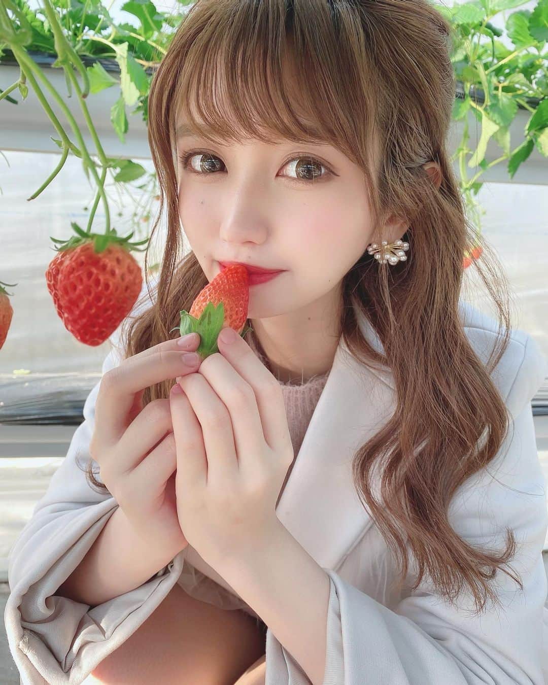 伊上あやさんのインスタグラム写真 - (伊上あやInstagram)「イチゴ狩りにやっと行けた🍓﻿ いちごはやっぱり美味しい😋﻿ お持ち帰りも買っちゃった❤️﻿ ﻿ ﻿  #イチゴ狩り #イチゴ #strawberry #伊豆 #フルーツ #東京 #ビジョビ」2月6日 20時39分 - o.aya_0613