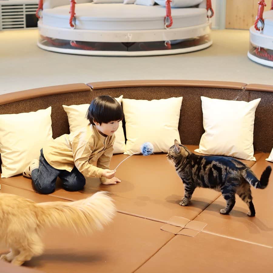 きなこのグルメインスタ