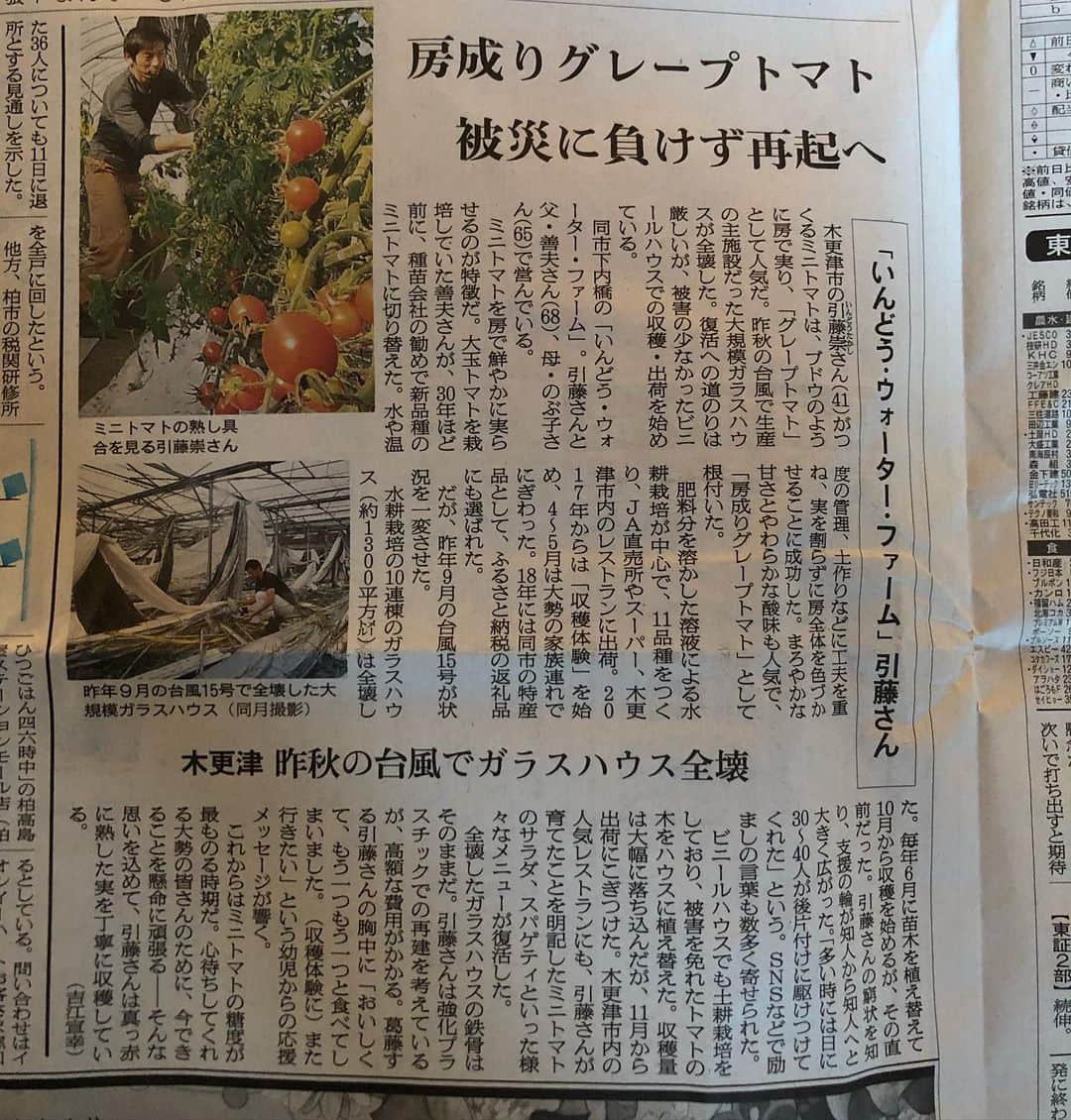 渡辺俊介のインスタグラム：「さすが！いんどうファミリー #いんどう・ウォーター・ファーム」