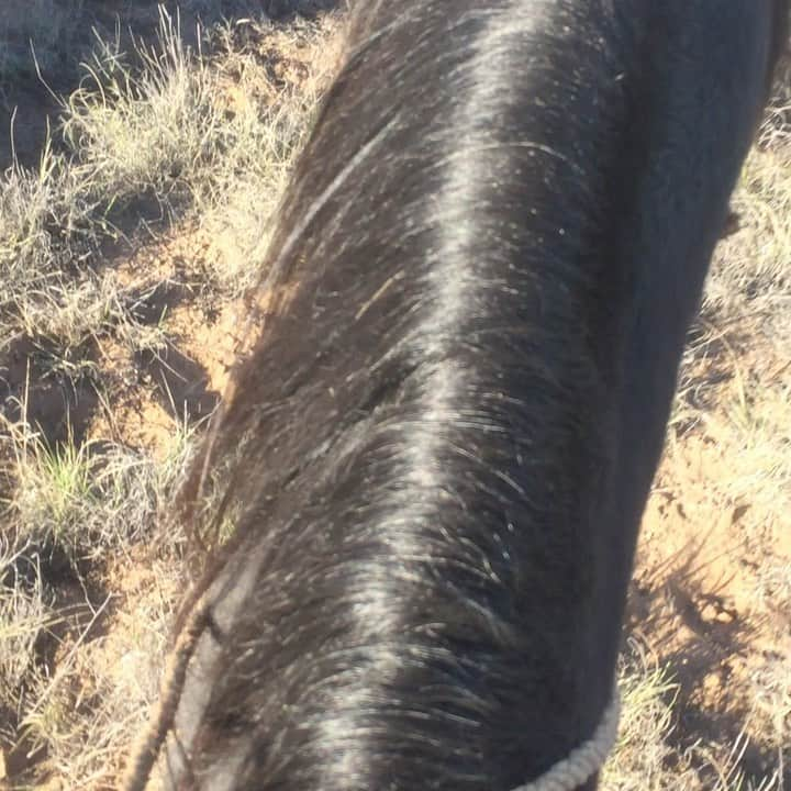 マイク・ヴォーゲルのインスタグラム：「Again, a constant reminder of how lucky I am to get to do what I do for a living..... and to work with the fantastic people I have gotten to work with....and also a reminder that I STILL have never done one of these Instagram story things, and perhaps never will.  @natacha.karam @haditabbal @noahmills @demetriusgrosse @mikalvega #thebrave #fakecowboy」