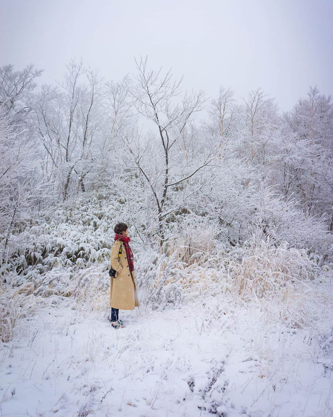 Hikaruのインスタグラム：「Rime on trees. . . . ポートレートと風景が好きだった頃。 今もたぶん好きだと思う。 可愛いから、アレンジしてみた。 冬は寒行けどやっぱりいいです。 . . . #道南 #jalan_travel  #nationalparksjp #instagram #instagramjapan #igersjp #東京カメラ部 #tokyocameraclub #natgeo #pashadelic #naturephotography #naturegeography #photogrena_nature #photo_shorttrip #japan #hokkaido #写真好きな人と繋がりたい #北海道 #Japan_ilc #sony #bealpha #SonyAlpha #SonyImager」