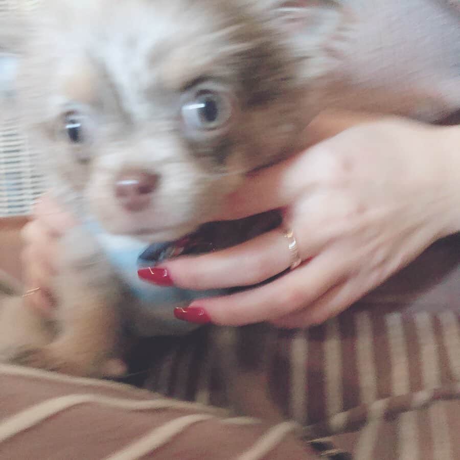 大段舞依のインスタグラム：「﻿ ﻿ お久しぶりの🥰🍜﻿ そして、ぽこくんにも初めまして🐶♡﻿ ﻿ 久しぶりに会って凄く楽しかったなぁ〜﻿ また、早く会いたーい！！！！﻿ ﻿ ﻿ ﻿ #ありぴょんまいぽこ #ぽこ #久しぶり﻿ #弾丸東京 #明日早起き #早起き以上﻿ #めっちゃ早起き #東京 #寒すぎる #🐶﻿ ﻿ ﻿」