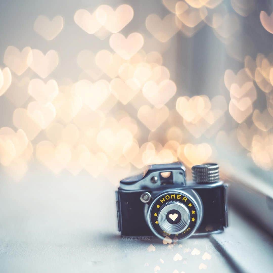 Holly Sissonのインスタグラム：「❤️📷 #toronto #bokeh #hearts ~ Canon 1D X MkII + #Petzval 85 Art Lens (See my bio for full camera equipment information plus info on how I process my images. 😊)」
