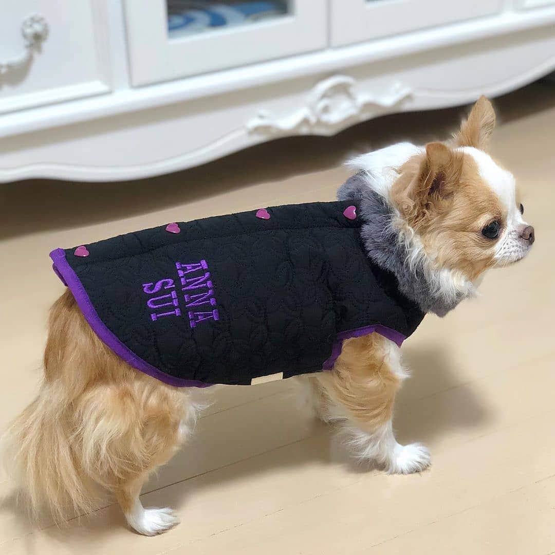 Caluluのインスタグラム