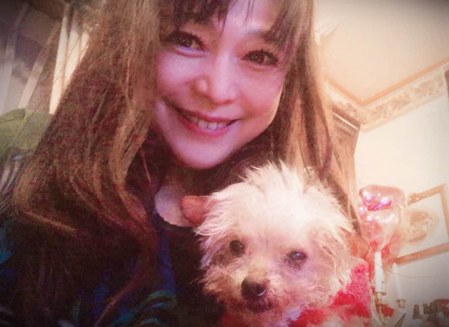 原めぐみさんのインスタグラム写真 - (原めぐみInstagram)「（原めぐみオフィシャル）4pcs photos キャンディが無事に退院しました❣️ ご心配下さった方々、ありがとうございました💝　m(_ _)m https://ameblo.jp/meguming5/entry-12573367427.html  #原めぐみ  #退院 #シニア犬  #マイペット  #トイプードル  #トイプードルレッド女の子  #16歳犬  #17歳犬  #老犬  #80年代アイドル﻿﻿﻿ #元アイドル﻿﻿﻿ #actoress﻿﻿﻿﻿ #singer ﻿﻿﻿﻿﻿﻿ #japanesesinger ﻿﻿﻿﻿﻿ #japaneseactor﻿﻿﻿﻿ #megumihara﻿﻿﻿﻿﻿ #インフルエンサー ﻿﻿﻿﻿﻿ #インスタ映え ﻿﻿﻿﻿﻿ #インスタグラマー ﻿﻿﻿﻿﻿ #いいねありがとう ﻿﻿﻿﻿﻿ #フォロー ﻿﻿﻿﻿﻿ @meguming.h」2月7日 10時23分 - meguming.h