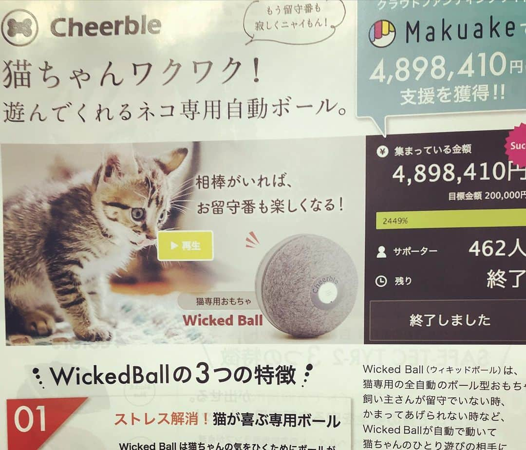 星野奏さんのインスタグラム写真 - (星野奏Instagram)「猫ちゃんのワクワクボール ・ ・ #ギフトショー #ペットトイ #猫のおもちゃ#wickedball #ペットボール #海外製」2月7日 10時38分 - hoshino_kanade_