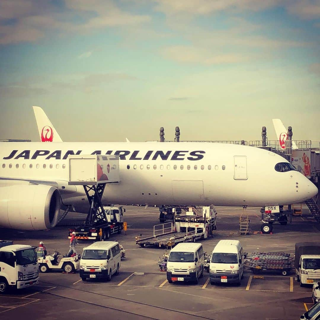 金子三勇士さんのインスタグラム写真 - (金子三勇士Instagram)「Good morning! Off to Kyushu #flyjal #Jal #Japanairlines #thebest #Goodmorning #Hanedaairport #A359 #oneworldemerald #JGCDiamond #pianist #MiyujiKaneko #ontour #日本航空 #羽田空港 #jgcダイヤモンド #ワンワールドエメラルド #旅人 #日本 #ピアニスト #金子三勇士 #JAL派 @japanairlines_jal」2月7日 10時56分 - miyujikaneko_official