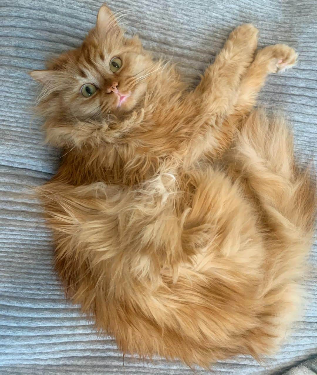 のインスタグラム：「😘」