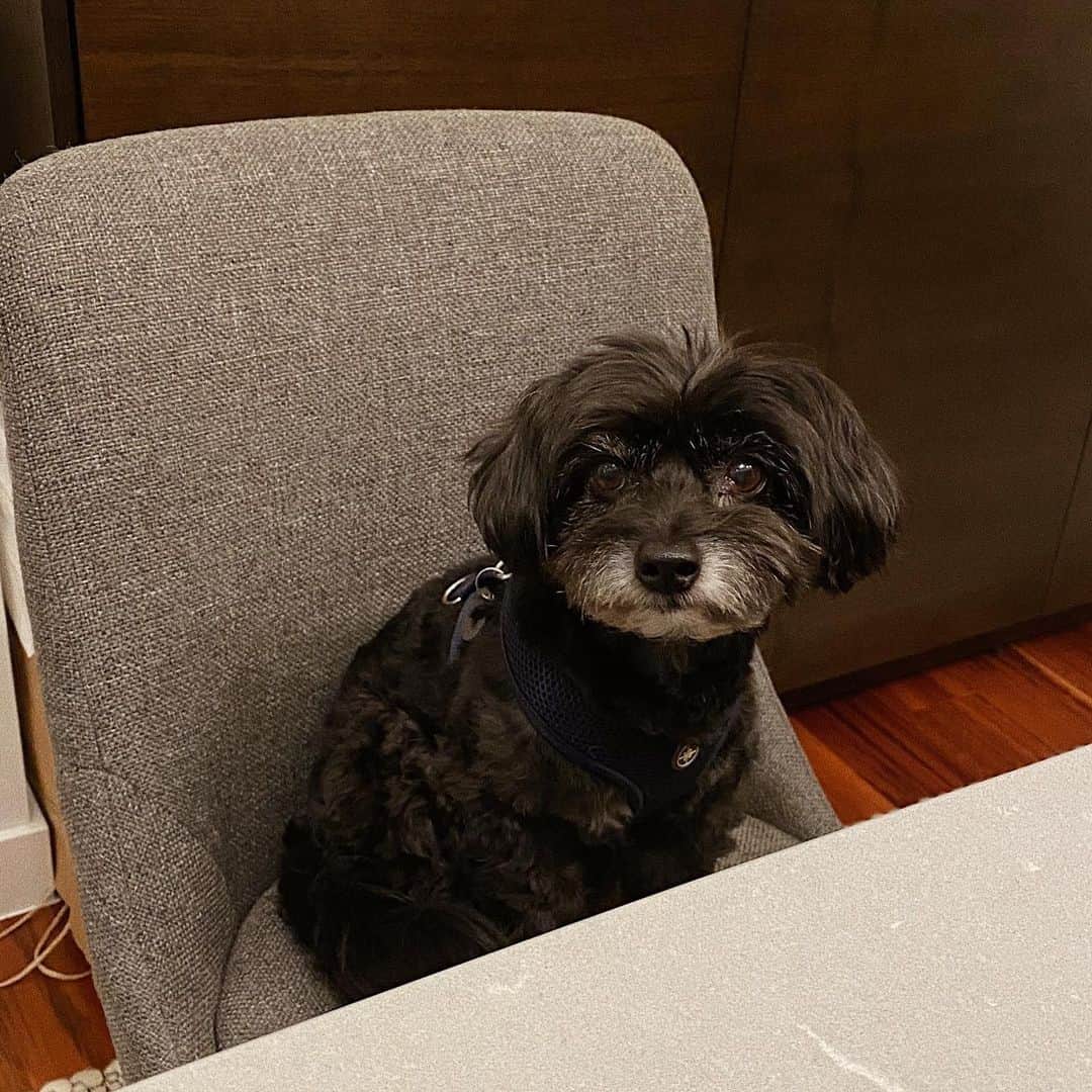 ダニエル・パナベイカーのインスタグラム：「When mom tells you it’s pizza night 😍」