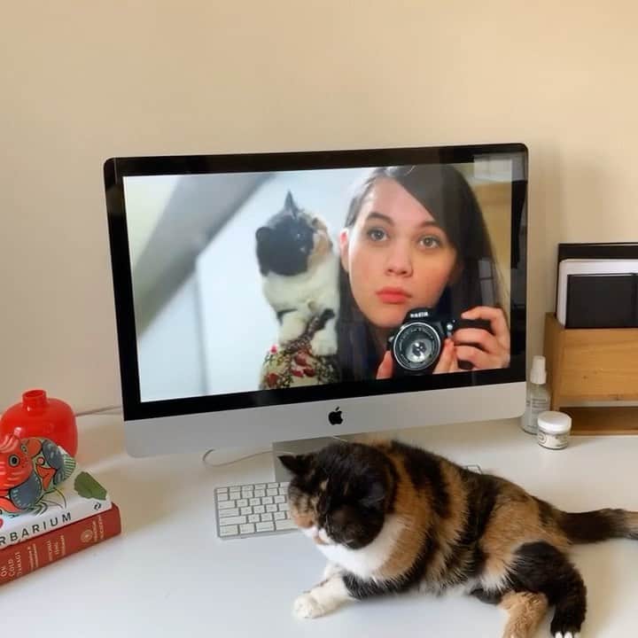 Pudgeのインスタグラム：「@cats_the_mewvie made me make myself cry 😭 (an honest first-watch reaction) Everything about my life today is thanks to Pudge. From the friends I have, to the work I do, my art, my hobbies, all the way to who I am at my core. I got Pudge at the lowest time in my life... a time when I was too depressed to even eat. I had lost a lot of weight and had no passion for life.  Cute little baby Pudge changed all of that for me. She inspired me to start taking photos again. When she started to become famous, I poured my passion for graphic design into designing merchandise for her fans. She kept my mind busy and filled my heart with happiness.  All of a sudden people were wanting to interview me & photograph me... and I wasn’t ready. It was scary - and it still is scary - but I’ve become more confident being in front of the camera because of Pudge.  Without Pudge, I would have never gotten to know @eomidi, who was running @cats_of_instagram at the time and asked if I’d like to help out. Without Pudge, I would have never met some of my most loved friends.  Without Pudge, I just simply wouldn’t be who I am today and I am so thankful for her, and for all of you on the internet that have been a part of it.  This was such a happy day for me and I’m so thankful to have been a part of this film! ❤️ Thank you, @miewah & @clairefrlnd and all of @goodhumanprods ! @netflix #cats_the_mewvie #pudgethecat」